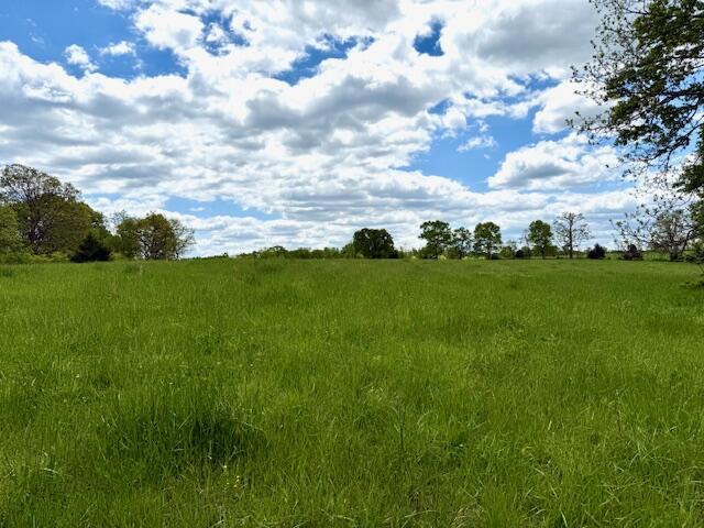 8493 Plum Valley Rd, Bucyrus, MO 65444 - photo 39