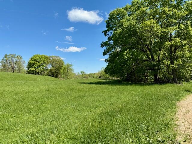 8493 Plum Valley Rd, Bucyrus, MO 65444 - photo 32
