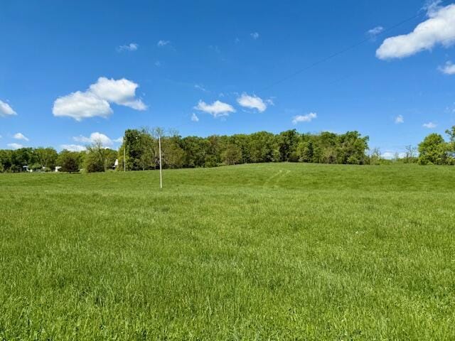 8493 Plum Valley Rd, Bucyrus, MO 65444 - photo 22