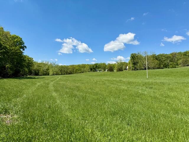8493 Plum Valley Rd, Bucyrus, MO 65444 - photo 1