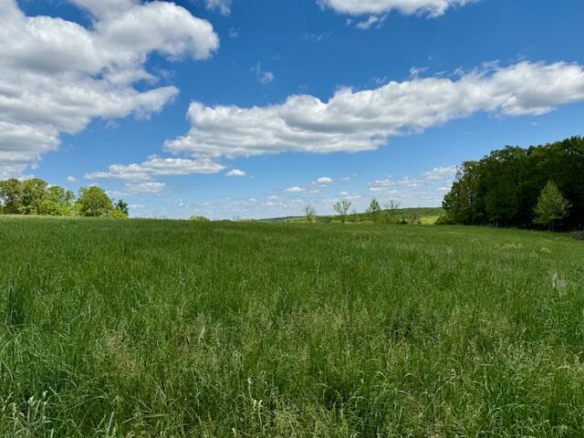 8493 Plum Valley Rd, Bucyrus, MO 65444 - photo 36