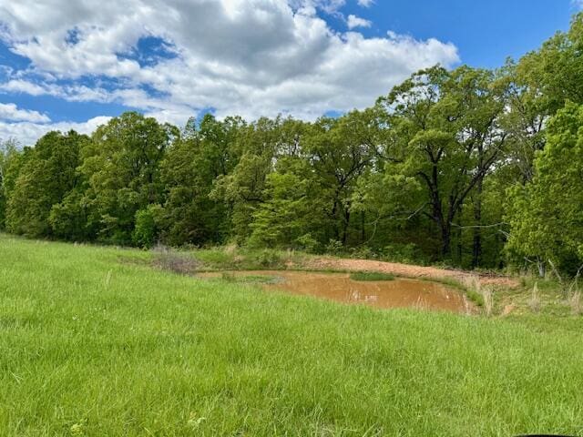 8493 Plum Valley Rd, Bucyrus, MO 65444 - photo 41