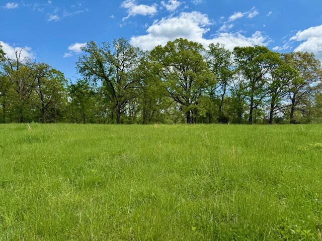 8493 Plum Valley Rd, Bucyrus, MO 65444 - photo 38