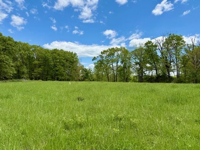 8493 Plum Valley Rd, Bucyrus, MO 65444 - photo 31