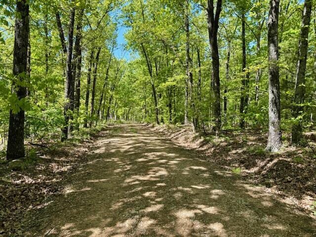 8493 Plum Valley Rd, Bucyrus, MO 65444 - photo 24