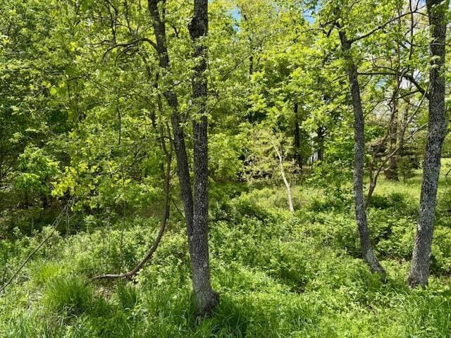 8493 Plum Valley Rd, Bucyrus, MO 65444 - photo 64