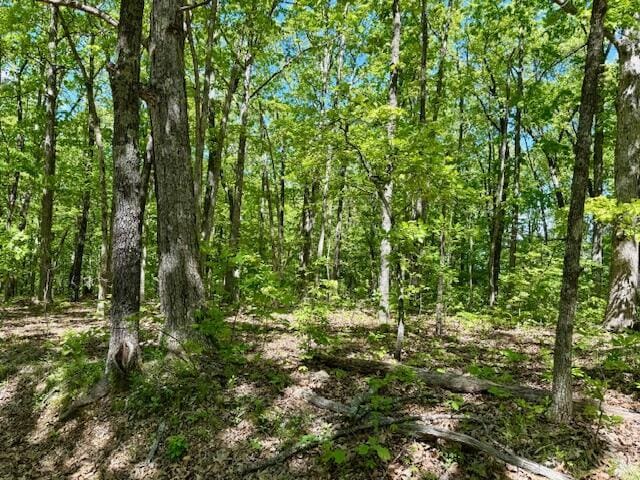 8493 Plum Valley Rd, Bucyrus, MO 65444 - photo 48