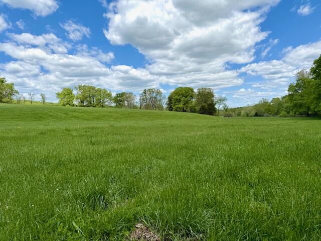 8493 Plum Valley Rd, Bucyrus, MO 65444 - photo 21