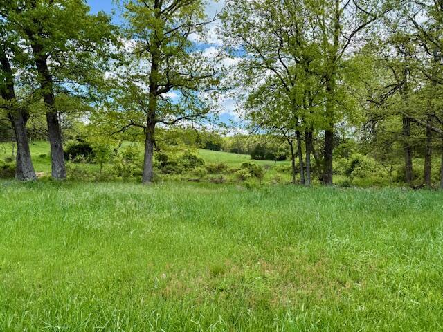 8493 Plum Valley Rd, Bucyrus, MO 65444 - photo 43