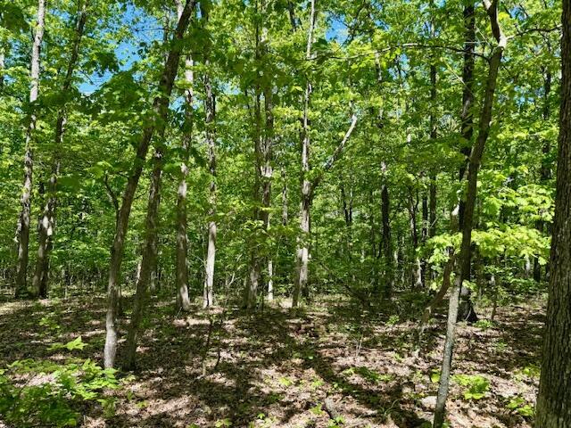 8493 Plum Valley Rd, Bucyrus, MO 65444 - photo 50