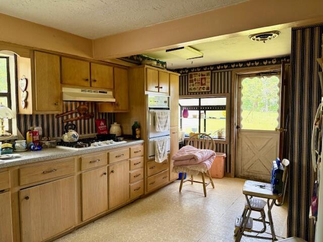 8493 Plum Valley Rd, Bucyrus, MO 65444 - photo 7