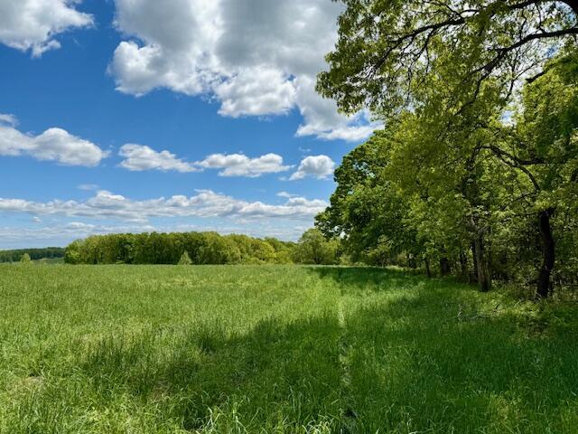 8493 Plum Valley Rd, Bucyrus, MO 65444 - photo 30