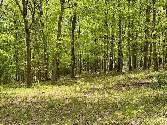 8493 Plum Valley Rd, Bucyrus, MO 65444 - photo 65