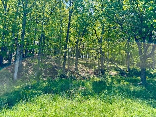 8493 Plum Valley Rd, Bucyrus, MO 65444 - photo 52