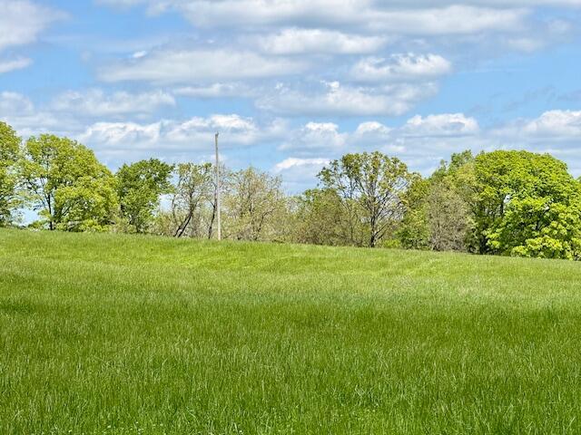 8493 Plum Valley Rd, Bucyrus, MO 65444 - photo 19