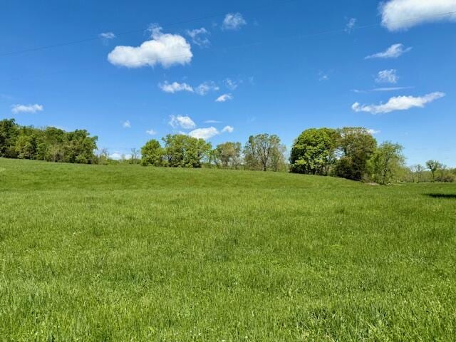 8493 Plum Valley Rd, Bucyrus, MO 65444 - photo 23