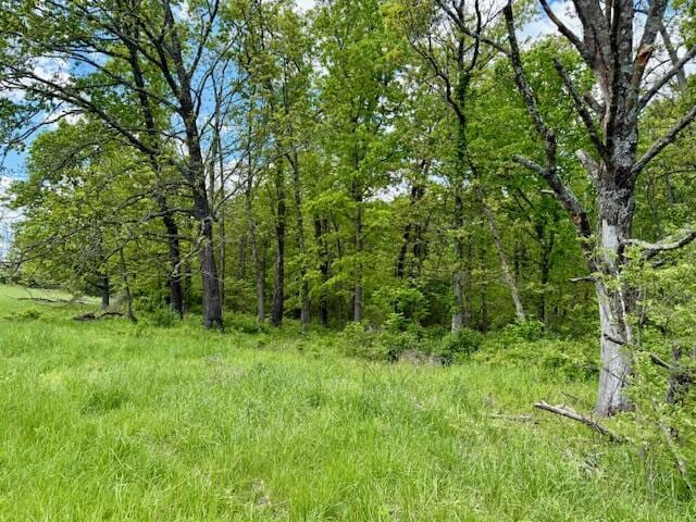 8493 Plum Valley Rd, Bucyrus, MO 65444 - photo 66