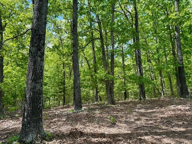 8493 Plum Valley Rd, Bucyrus, MO 65444 - photo 62