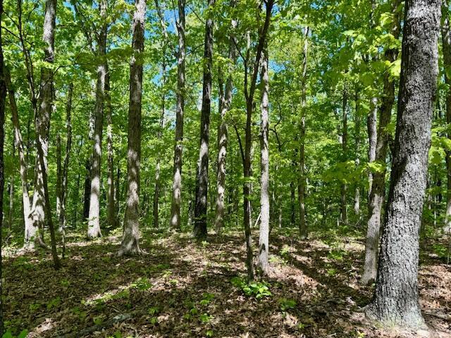 8493 Plum Valley Rd, Bucyrus, MO 65444 - photo 45