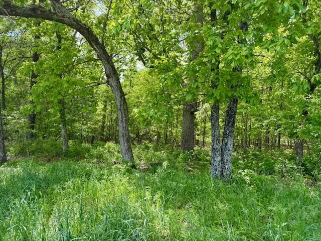 8493 Plum Valley Rd, Bucyrus, MO 65444 - photo 63