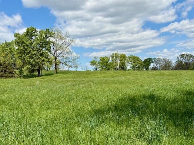 8493 Plum Valley Rd, Bucyrus, MO 65444 - photo 20