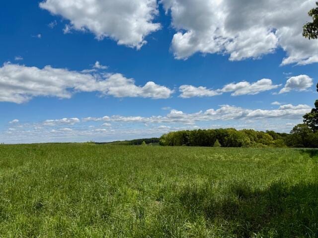 8493 Plum Valley Rd, Bucyrus, MO 65444 - photo 35