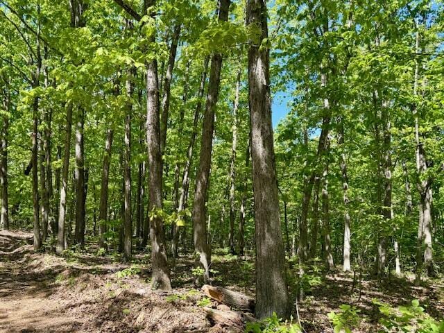 8493 Plum Valley Rd, Bucyrus, MO 65444 - photo 49