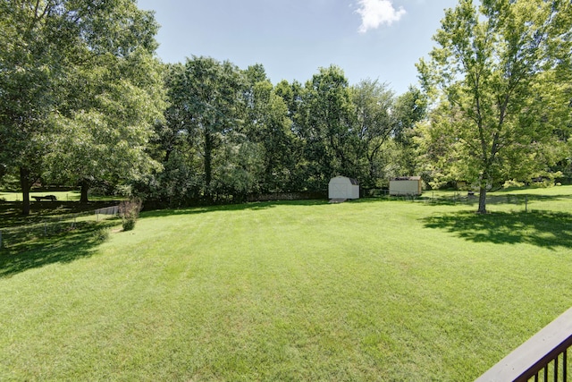 540 S Hickory Dr, Springfield, MO 65809 - photo 37