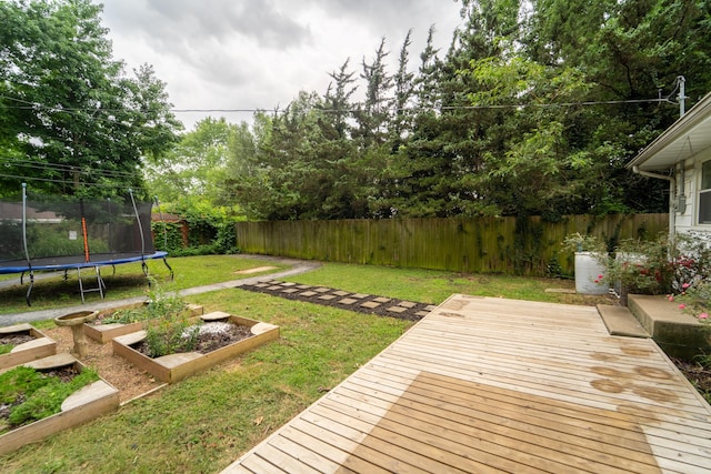 1520 E Seminole St, Springfield, MO 65804 - fenced backyard with a trampoline, a deck, and a vegetable garden