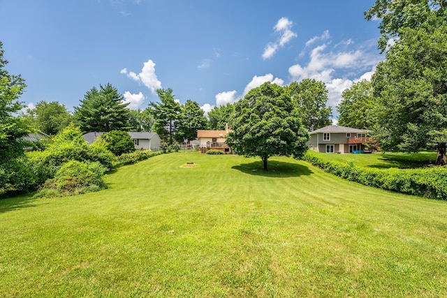 1604 E Sycamore St, Ozark, MO 65721 - view of green lawn