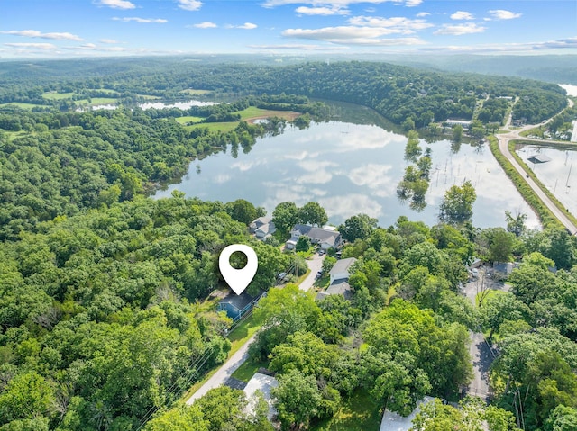 189 Pierce Pl, Forsyth, MO 65653 - aerial view of a heavily wooded area and a large body of water