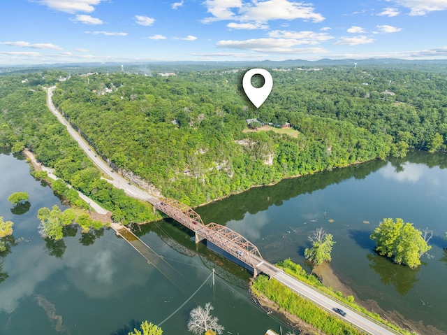 189 Pierce Pl, Forsyth, MO 65653 - aerial view of a heavily wooded area and a large body of water
