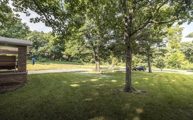 11240 State Hwy E, Rolla, MO 65401 - view of green lawn