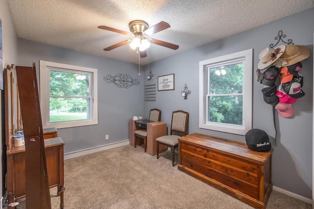 11240 State Hwy E, Rolla, MO 65401 - office featuring baseboard heating, a ceiling fan, light colored carpet, and a textured ceiling