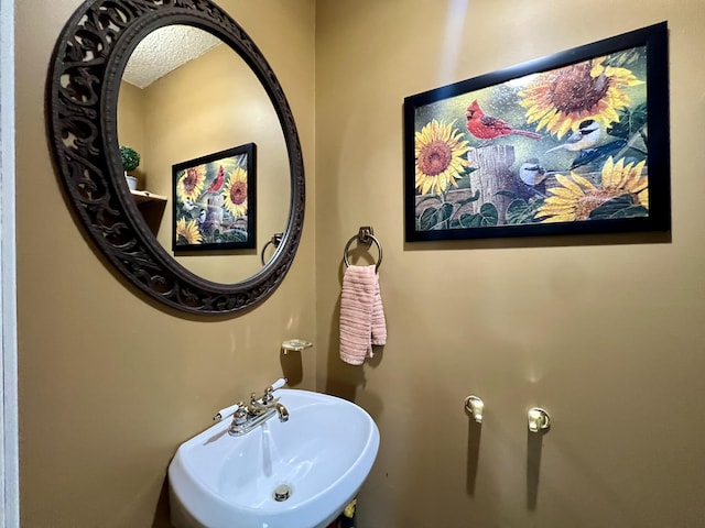 817 Fillmore St, Mount Vernon, MO 65712 - bathroom with a sink and a textured ceiling