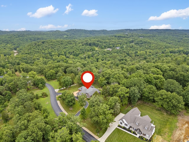 744 Seven Pines Dr, Saddlebrooke, MO 65630 - bird's eye view of a forest