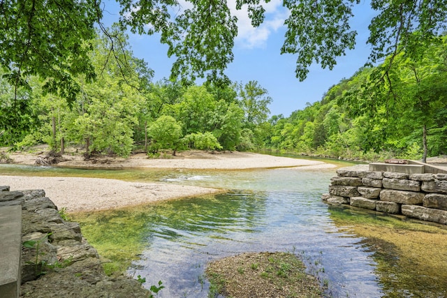 744 Seven Pines Dr, Saddlebrooke, MO 65630 - water view with a heavily wooded area