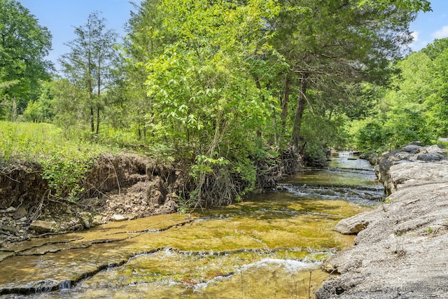 744 Seven Pines Dr, Saddlebrooke, MO 65630 - view of yard featuring a forest view