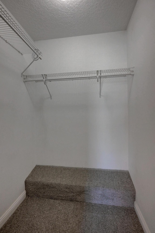 4406 W 28th St, Joplin, MO 64804 - spacious closet featuring carpet