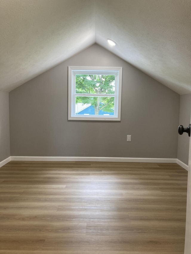 507 W Clouse St, Mountain Grove, MO 65711 - additional living space featuring lofted ceiling, wood finished floors, and a textured ceiling