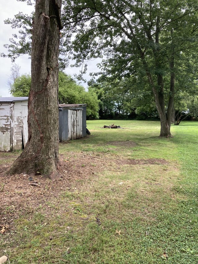 507 W Clouse St, Mountain Grove, MO 65711 - view of green lawn