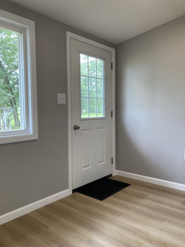 507 W Clouse St, Mountain Grove, MO 65711 - entryway with plenty of natural light and light wood-style floors