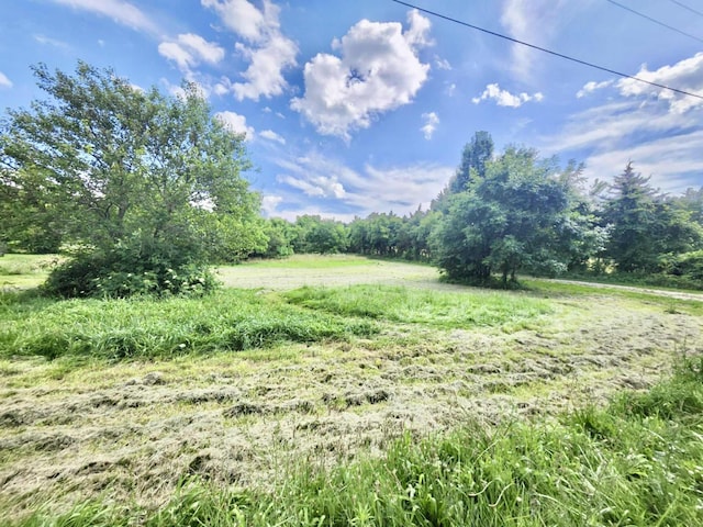 10090 Sunshine Dr, Mountain Grove, MO 65711 - photo 19