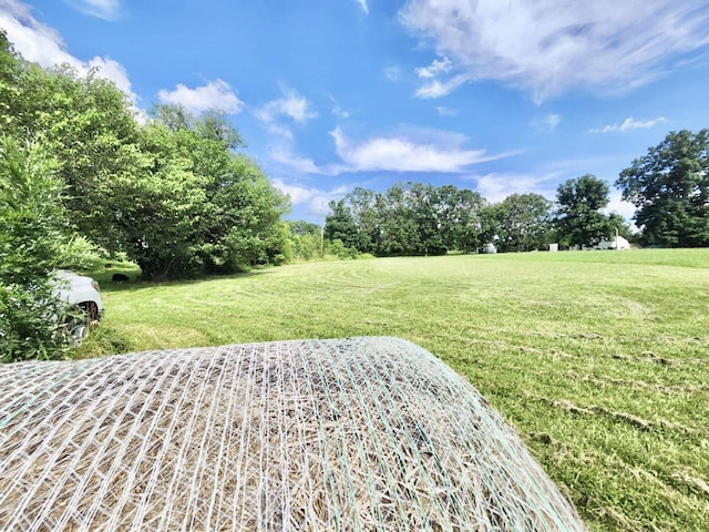 10090 Sunshine Dr, Mountain Grove, MO 65711 - photo 21