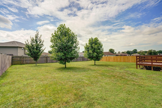 844 S Natalie Ave, Springfield, MO 65802 - view of fenced backyard