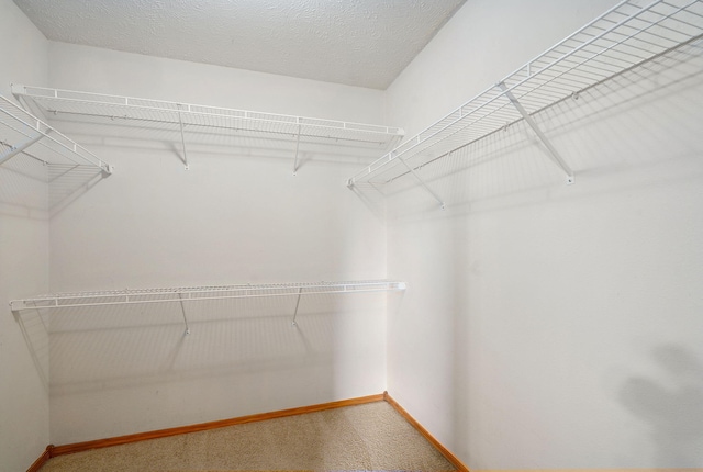844 S Natalie Ave, Springfield, MO 65802 - walk in closet with carpet