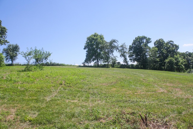 1526 Ozark Rd, Crane, MO 65633 - photo 31