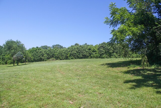 1526 Ozark Rd, Crane, MO 65633 - photo 24