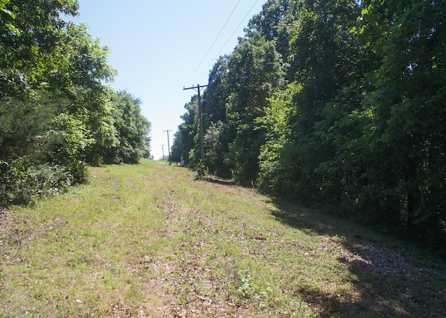 1526 Ozark Rd, Crane, MO 65633 - photo 30