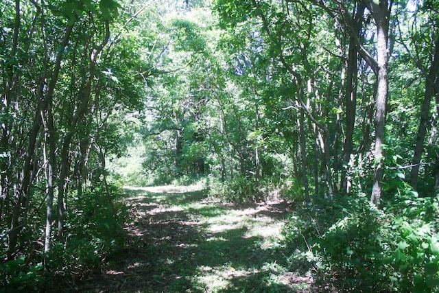 1526 Ozark Rd, Crane, MO 65633 - photo 26